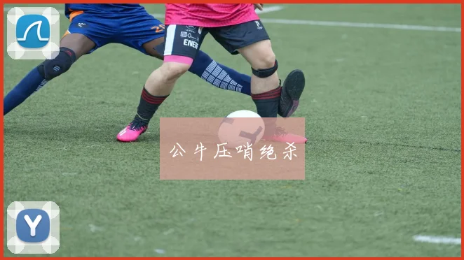 公牛压哨绝杀