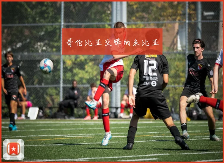哥伦比亚交锋纳米比亚